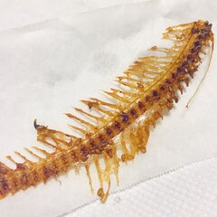 節約 ホッケの骨せんべい レシピ 作り方 By えだまめ大好き 楽天レシピ 節約 ホッケの骨せんべい レシピ 作り方 By えだまめ大好き 楽天レシピ